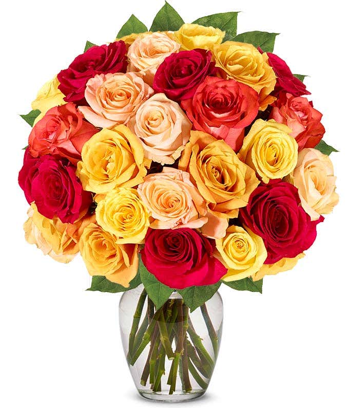 Two Dozen Boo-tiful Halloween Roses