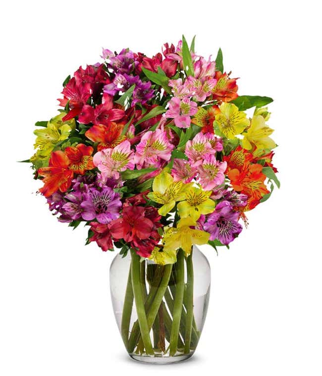 A bouquet of 15 stems of alstroemeria in assorted colors, with an optional vase.