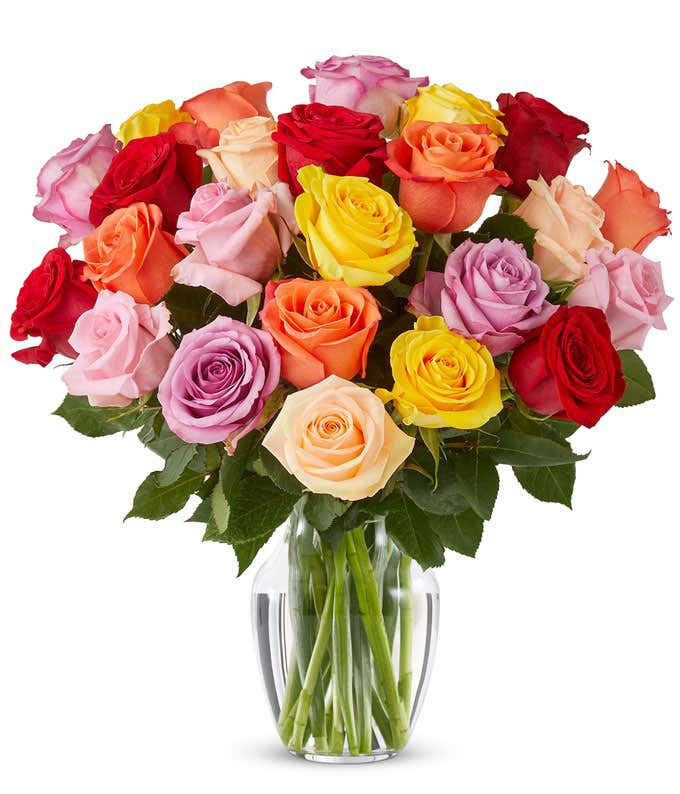 Two dozen rainbow roses for Mother's Day rose delivery
