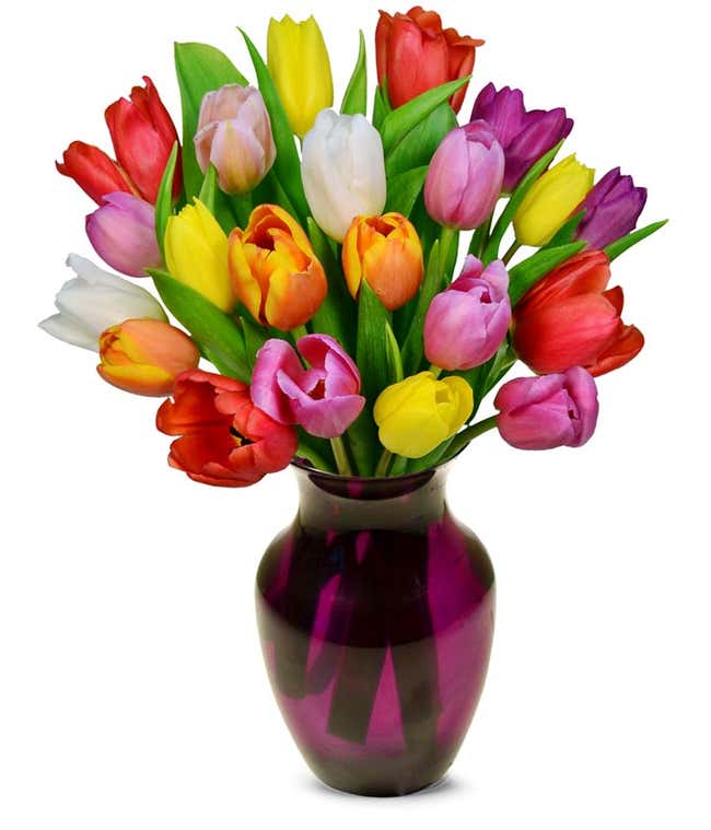 20 stems of tulips in red, orange, yellow and purple