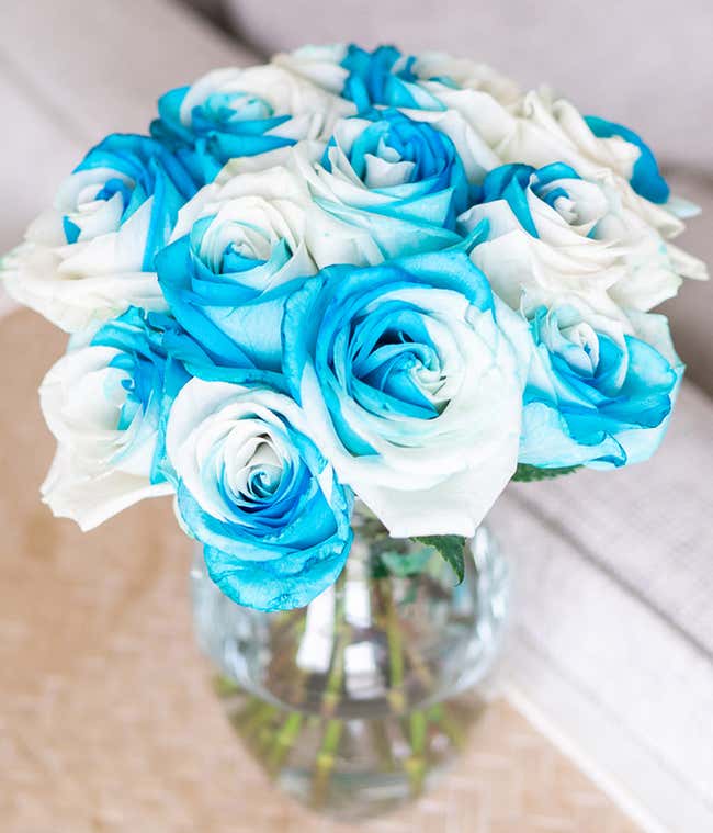 One Dozen White &amp; Blue Sea Foam Roses in Clear Glass Vase
