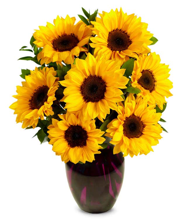 A vibrant arrangement featuring yellow sunflowers and golden solidago, optionally presented in a vase. This bright and cheerful display brings a touch of sunshine and warmth to any occasion. 