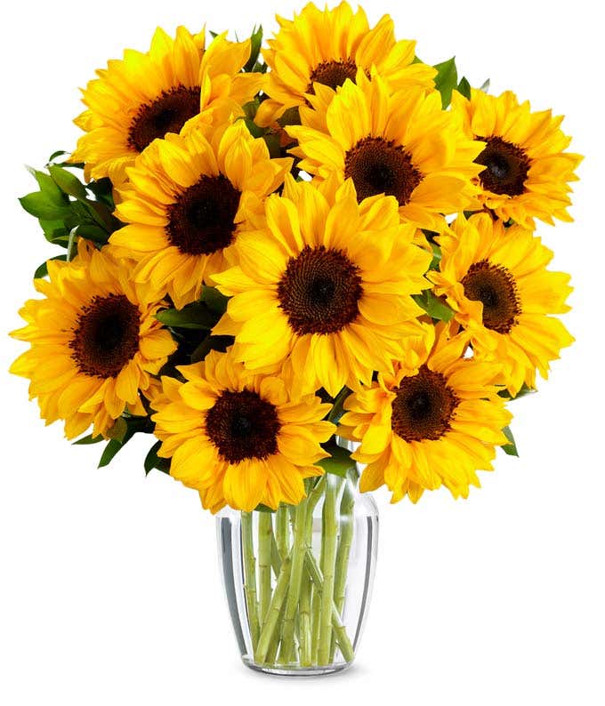 Bouquet of vibrant sunflowers arranged in a clear glass vase.