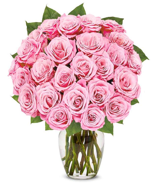 24 pink roses 