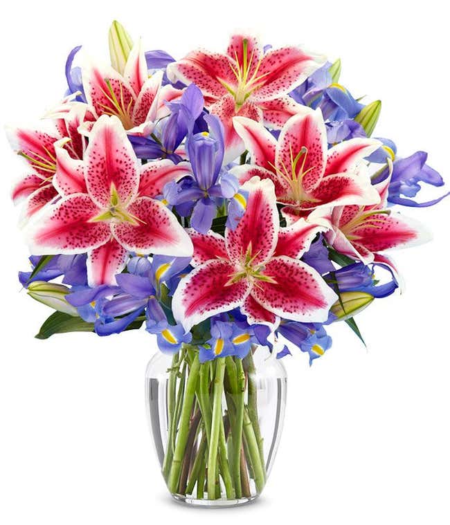 A bouquet of Iris &amp; Stargazer Lilies in a Glass Vase