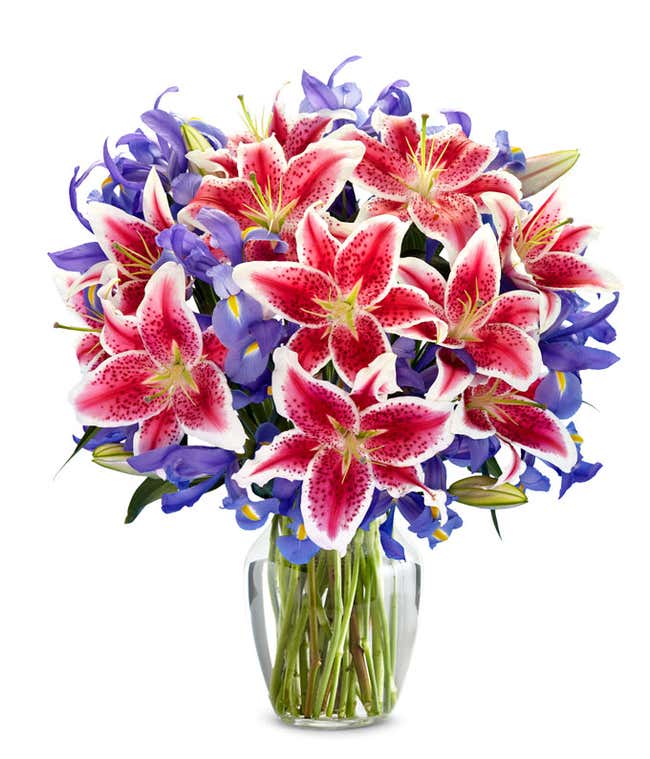 Premium Starlit Iris Bouquet