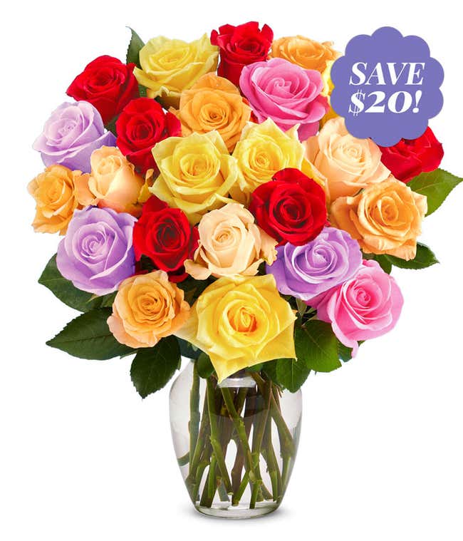Two Dozen Rainbow Roses 