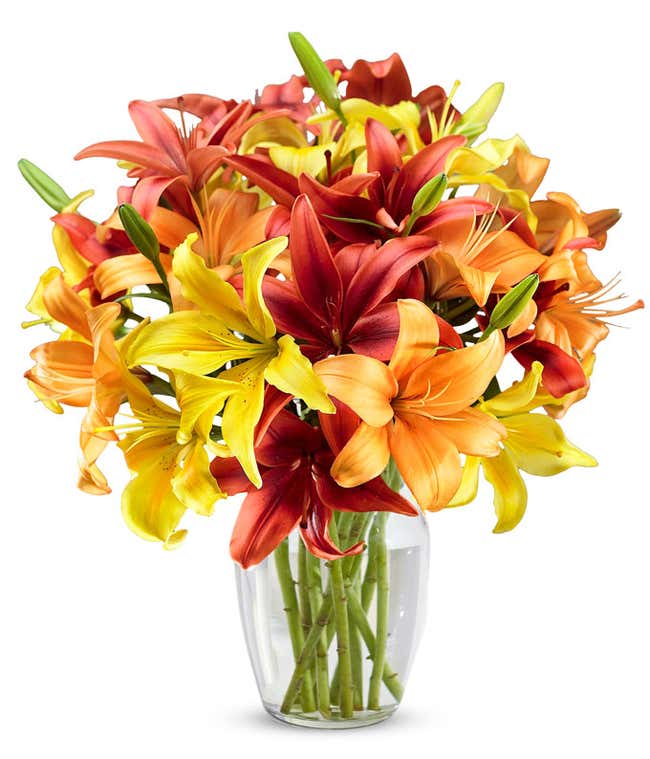 A bouquet of yellow, orange, and red lilies, with some unbloomed green lily buds in a glass vase