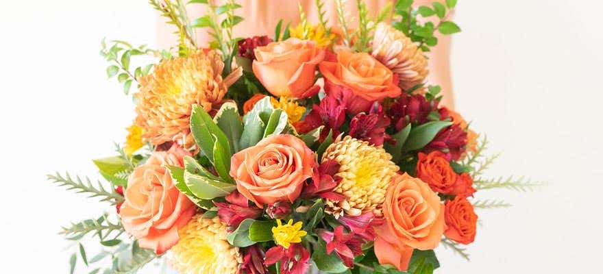 Send your love with fall 飞行艇直播计划、开奖号码走势与预测分析 - shop now