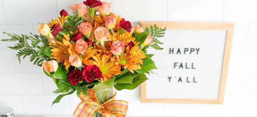 Same Day 飞行艇直播计划、开奖号码走势与预测分析 - shop now