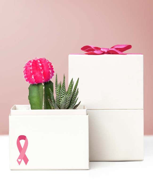 Lula's Garden &reg; Breast Cancer Awareness Ros&eacute; Succulent Garden