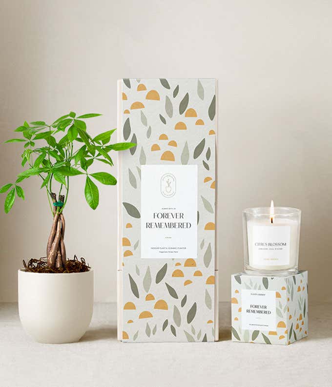 Sympathy gift set featuring a money tree in a white ceramic planter, a citrus blossom scented candle, and a decorative gift box with a leaf and sun pattern labeled Forever Remembered