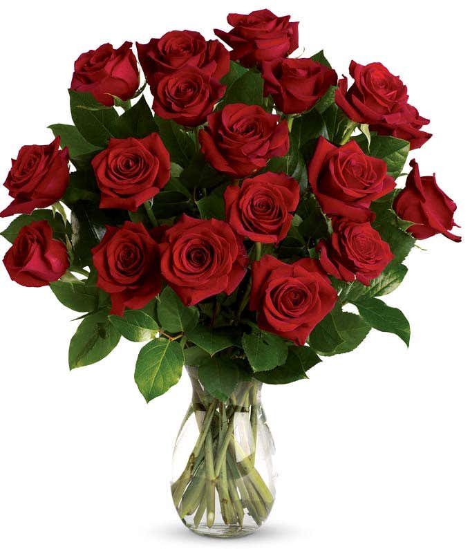 Classic Romance Red Roses - 18 Roses