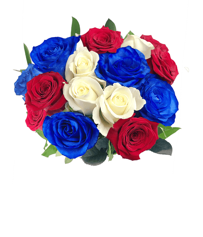 Partial image of One Dozen Red White &amp; Blue Roses without vase.