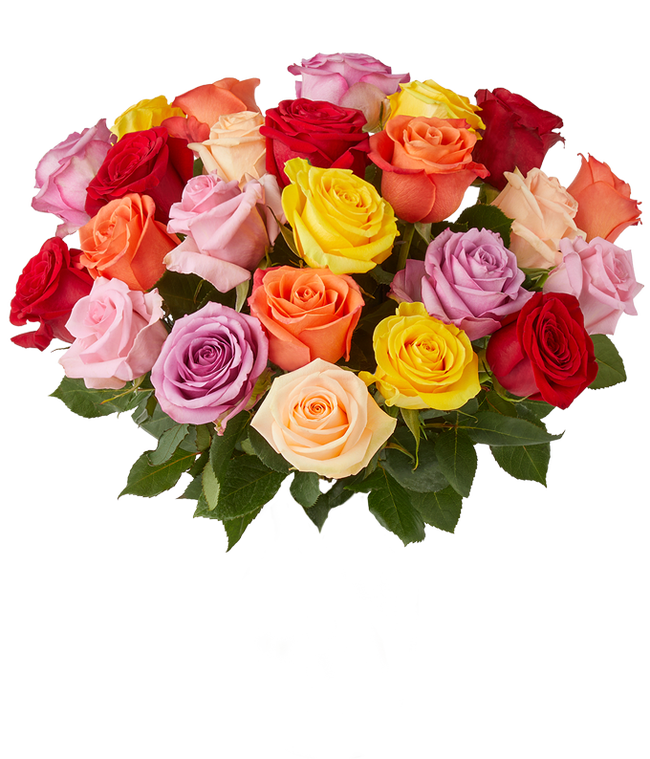 Partial image of Two dozen rainbow roses for Mother's Day rose delivery without vase.