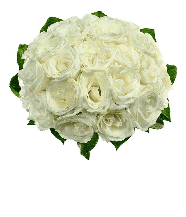 Partial image of Two dozen white roses without vase.