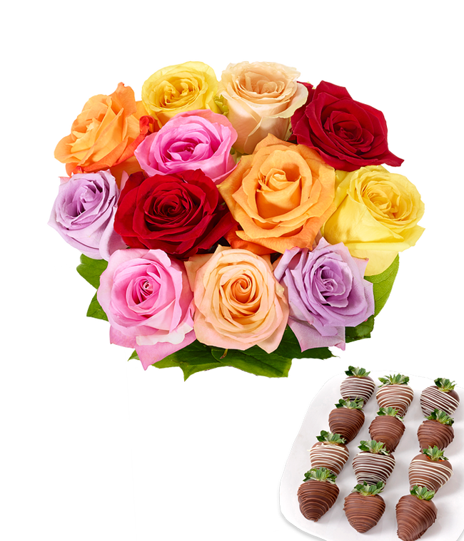 Partial image of One dozen rainbow roses with one dozen chocolate covered strawberries. without vase.