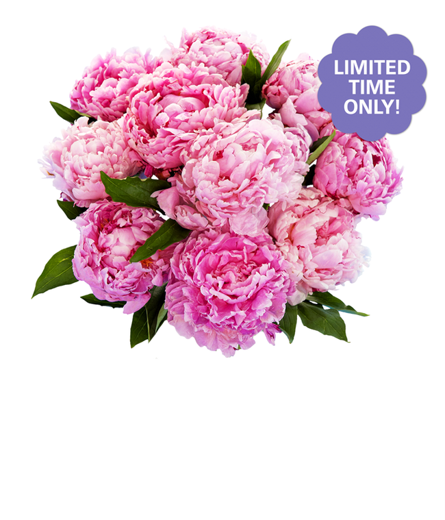 Partial image of A stunning arrangement of 10 assorted pink peonies, optionally presented in a glass vase. These lush and fragrant peonies create a beautiful and elegant display, perfect for adding a touch of romance to any setting. without vase.