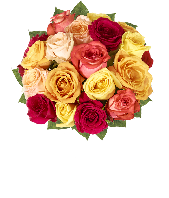 Partial image of  A stunning arrangement featuring one and a half dozen fall roses in vibrant autumn colors. without vase.