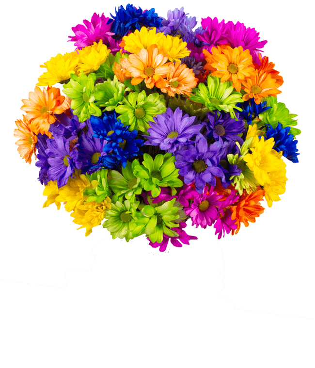 Partial image of Brilliant Neon Poms without vase.