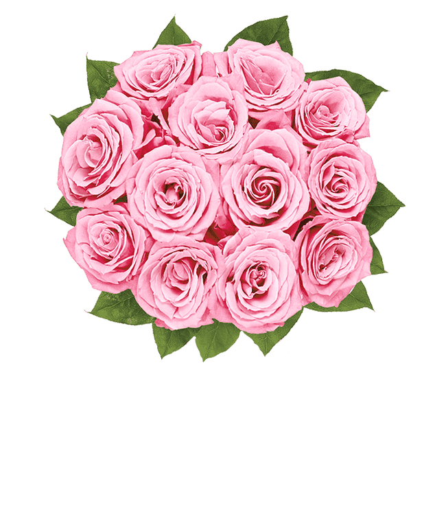 Partial image of One Dozen Light Pink Breast Cancer Awareness Roses without vase.