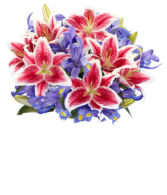 Partial image of A bouquet of Iris &amp; Stargazer Lilies in a Glass Vase without vase.