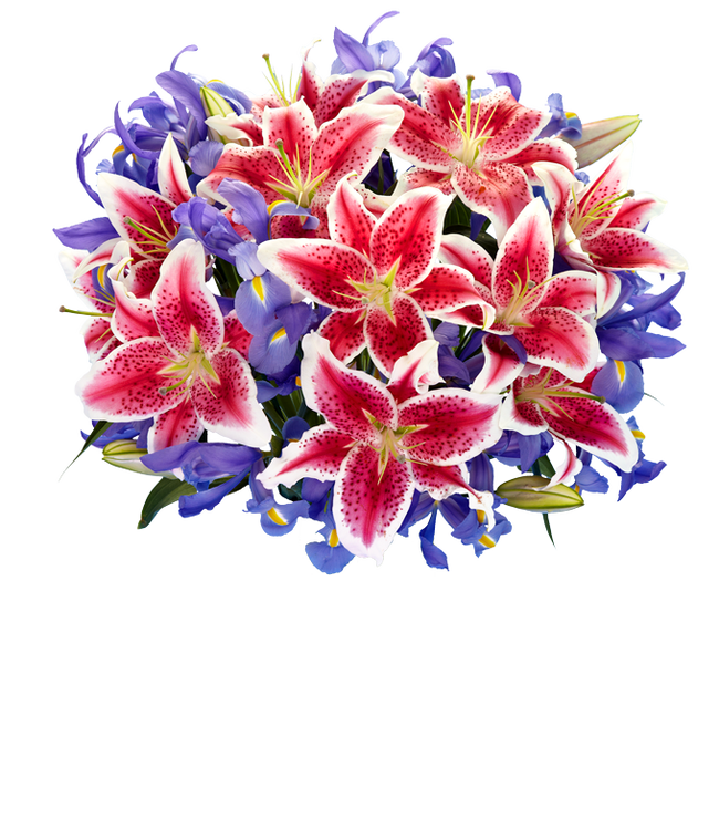 Partial image of Premium Starlit Iris Bouquet without vase.