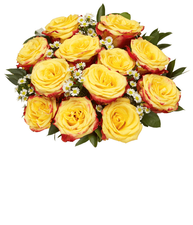 Partial image of Bi-color two dozen roses without vase.