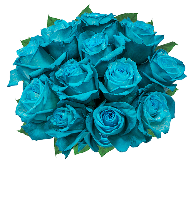 Partial image of One Dozen Teal Roses without vase.